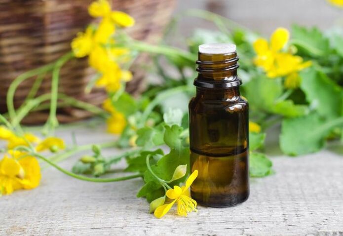 El aceite de celidonia para uso externo contra los hongos en las uñas es adecuado para mujeres embarazadas y niños.