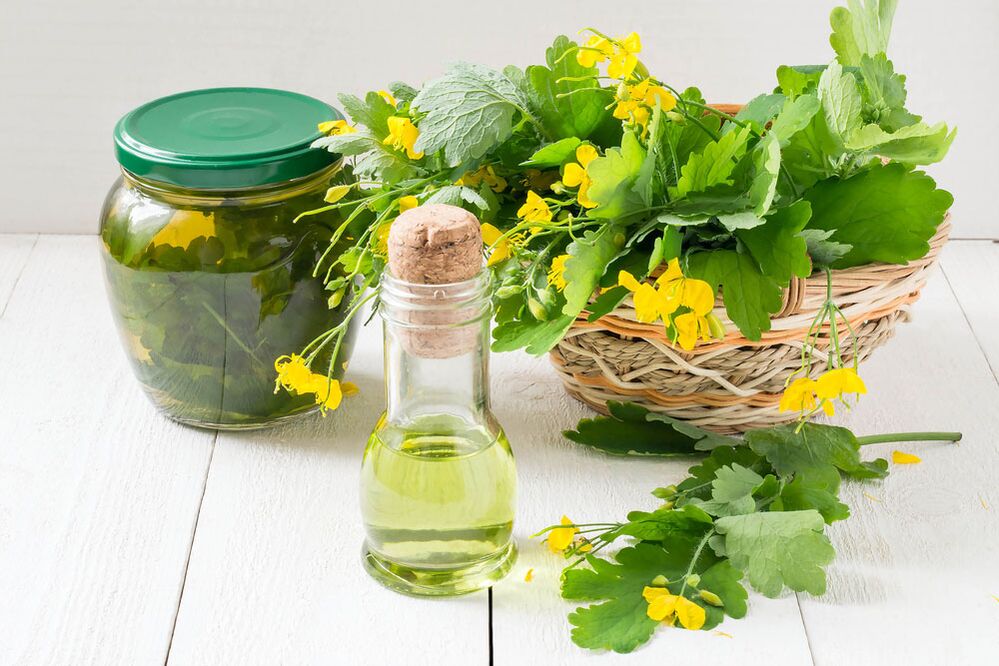 Infusión, aceite y celidonia recién cortada para los hongos en las uñas de los pies