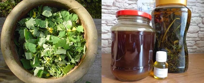 Preparación de jugo curativo de celidonia para su uso posterior en la lucha contra los hongos en las uñas de los pies.